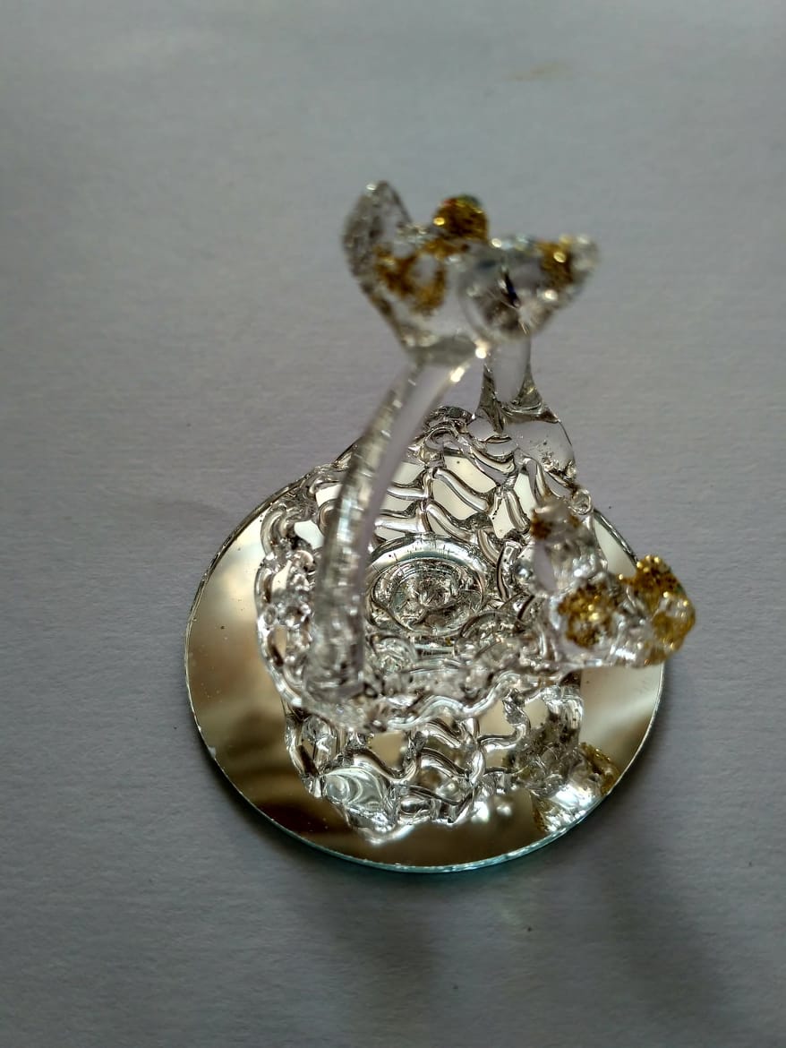 61268272_2338250609779731_6054710397552820224_n